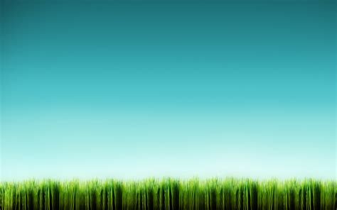 Grass Wallpapers Sweet Grass Picture Image 16619