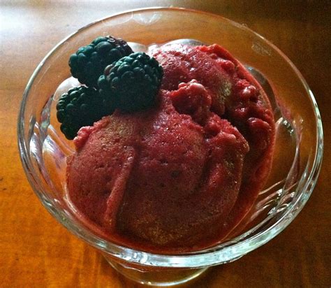Husband Tested Recipes From Alices Kitchen Blackberry Sorbet