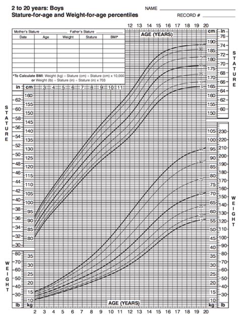 On average, girls commence puberty around ages 10 to 11 and end puberty around 15 to 17 years old; Weight and height range - Overnutrition in adolescents