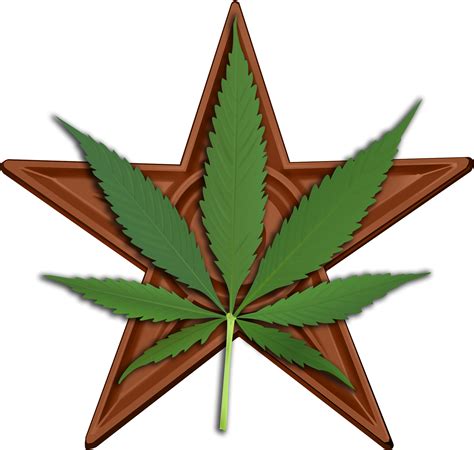 Download Filecannabis Barnstar Hires Weed Star Png Transparent Png