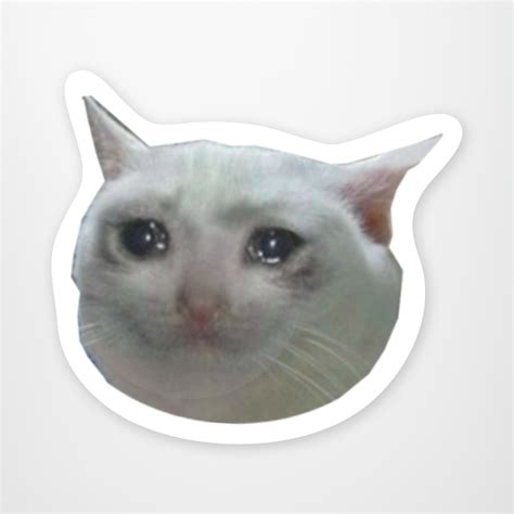 Teh meme wiki is a fandom lifestyle community. Crying Cat Meme - StickerYou Store