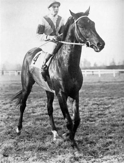 Nearco 19351957 Was An Italian Bred Thoroughbred Racehorse Described