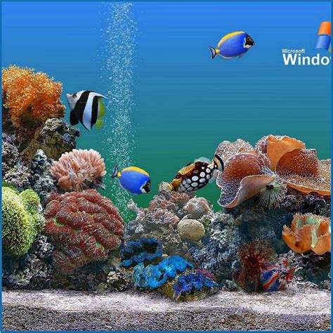 Aquarium Screensaver For Ipad Download Screensaversbiz