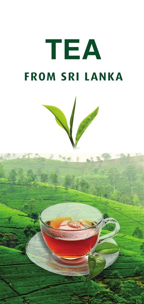 Ceylon Tea The Worlds Finest Tea