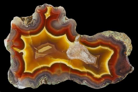 31 Polished Banded Laguna Agate End Cut Mexico For Sale 114494