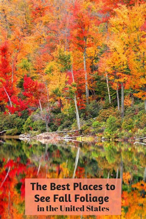 The Best Places To See Fall Foliage In The United States Fall Foliage