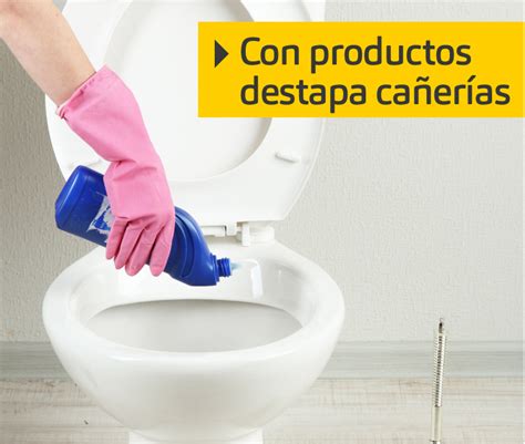 Proyectos Tips Para Destapar El Inodoro