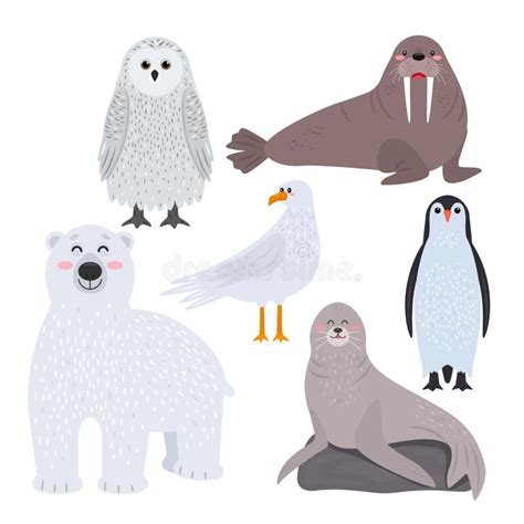 Set Of Cute Arctic Animals In Cartoon Style Snowy Owl Penguin Walrus