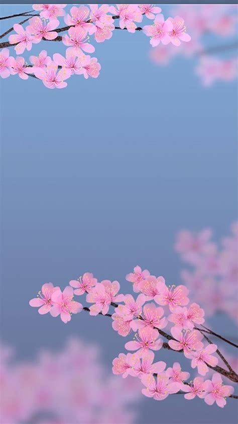 Pink Flowers Are Floating In The Water On A Blue Sky Background With