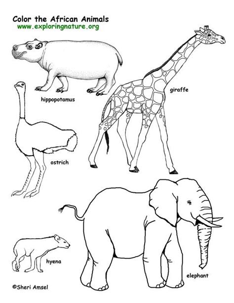 African Animals Coloring Pages Savanna African Animals Coloring
