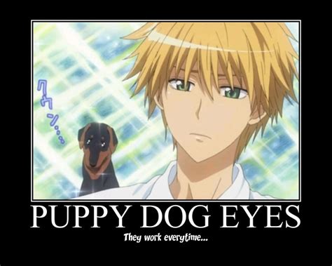 Puppy Dog Eyes By Mystic Falls On Deviantart