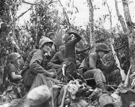 Marines In Action During Battle Of Suicide Ridge The Battle Of Peleliu