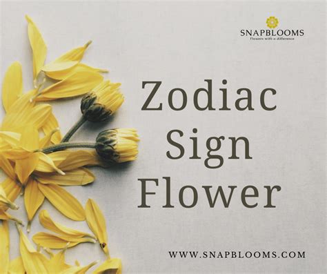 Zodiac Flowers The Ultimate Guide To Astrological Sign Flowers