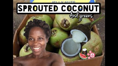 Bodyculinary How To Have You Tried Sprouted Coconut And Greens