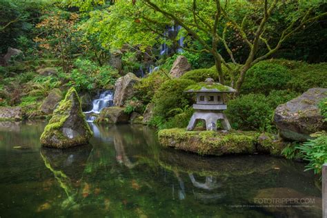 How To Shoot Portland Japanese Garden Fototripper