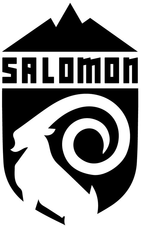 Salomon Logo Rebuilt 2017 Project On Behance