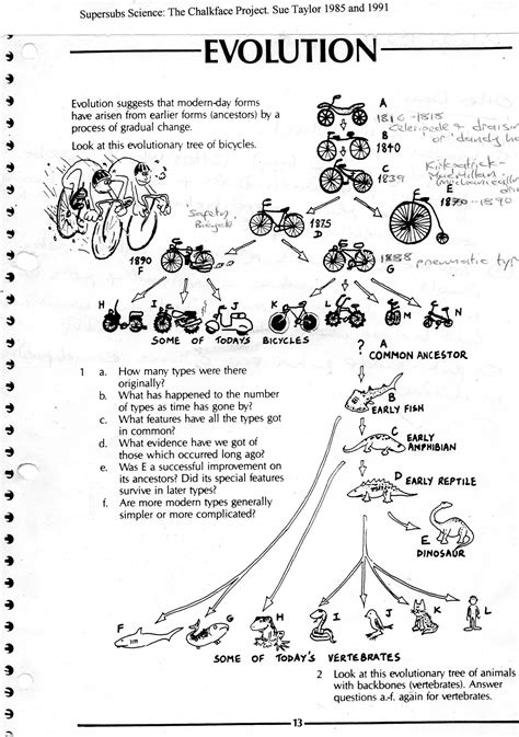 Patterns And Mechanisms Of Evolution Worksheet