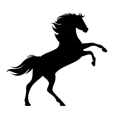 Alle bestellungen sind sonderanfertigungen und werden meist innerhalb von 24 stunden versendet. Horse Illustrations, Royalty-Free Vector Graphics & Clip ...