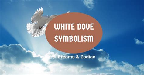 White Dove Symbolism What Does A White Dove Symbolize