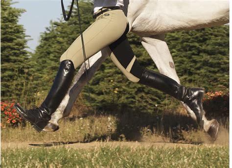 Horse Back Riding Equipment What You Need To Have