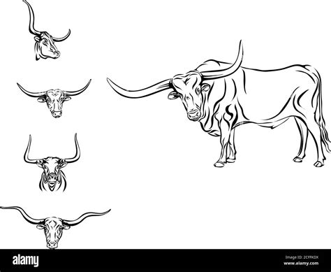 Buffalo Bull Head Horns Vector Picture Drawing Black Animal