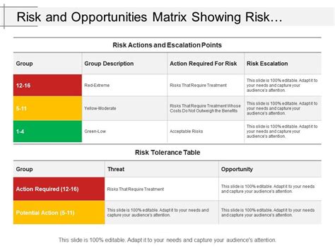 Risk And Opportunities Matrix Showing Risk Tolerance Table With