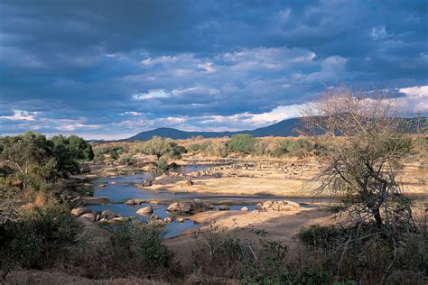 ruaha national park unique trips to ruaha in tanzania