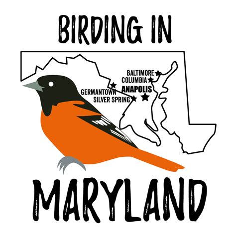 Birds In Maryland Bird Watching Academy