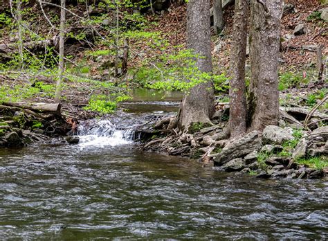 feeder-stream-the-living-river