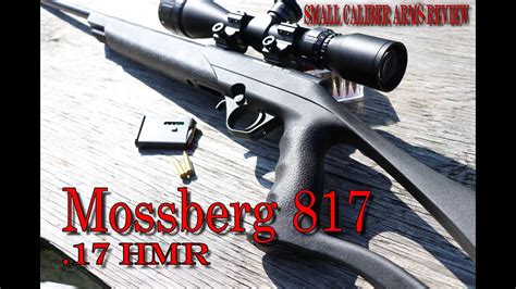 Mossberg 817 An Inexpensive Lightweight Bolt Action 17 Hmr Youtube