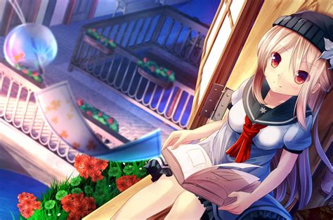 Download 2560x1700 Anime Girl Sitting Reading A Book