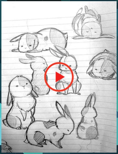 Anime Animal Sketches Drawing Animal Sketches Zeichnen