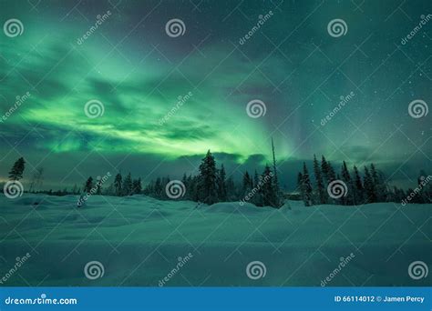 Aurora Borealis Aurora Boreal En Bosque De Finlandia Laponia Foto De