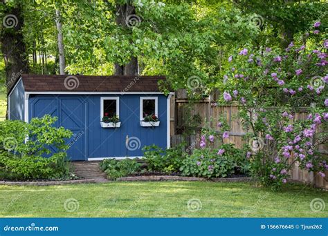 Pretty Blue She Shed In The Backyard Garden With Lilacs In Full Bloom