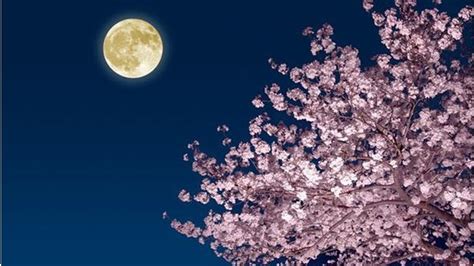 Pink Moon 2019 How To Watch The April Pink Moon Rise On Friday Youtube