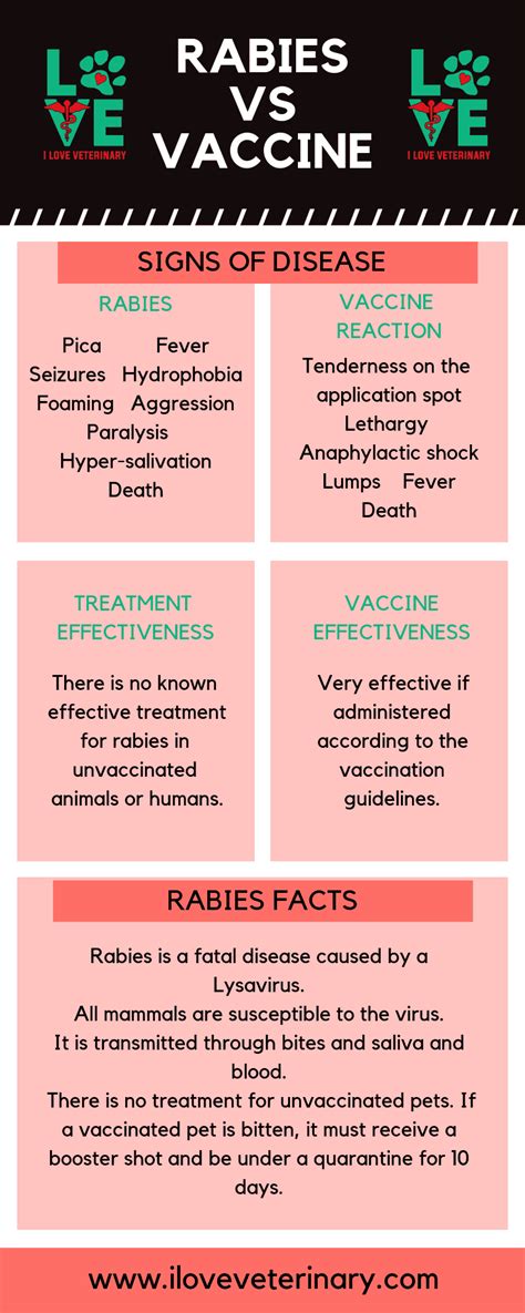 Rabies vs. Vaccine - I Love Veterinary