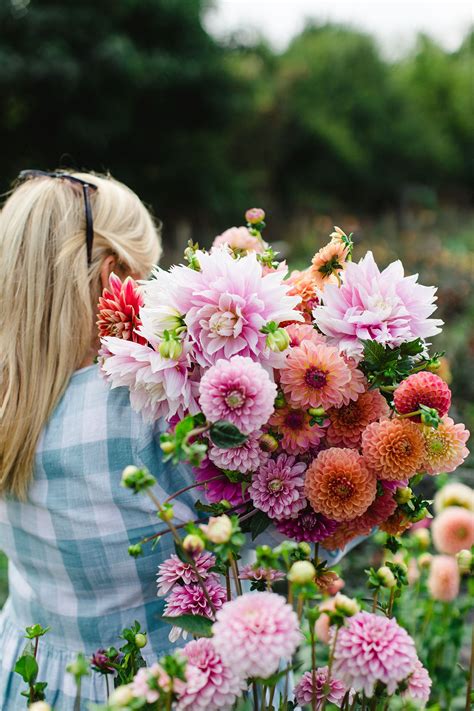 Flower subscriptions - Field Gate Flowers