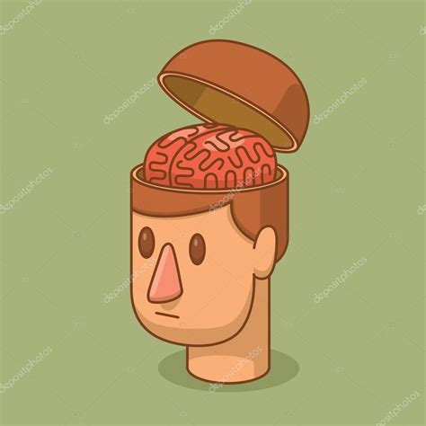 Open Head Of Man With A Brain — Stock Vector © Ivannikulin 114985474