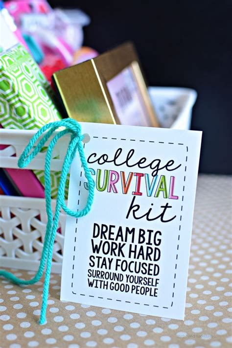 What is a good present for a college graduate. College Survival Kit | College survival kit, Creative ...