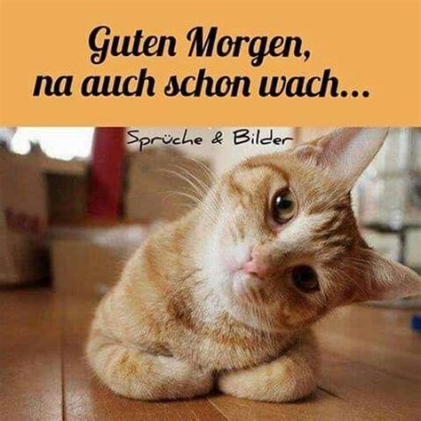 Guten Morgen Grüße, Schönen und Lustig Guten Morgen Sprüche