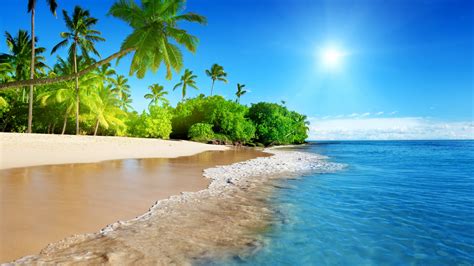 Download Tropical Beach Sea Calm Sunny Day Holiday 1920x1080
