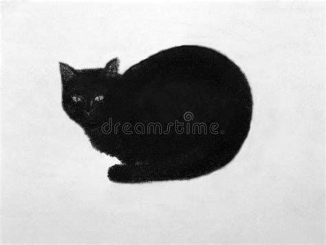 Sleep Black Cat Stock Illustration Illustration Of Pedigreed 62978556