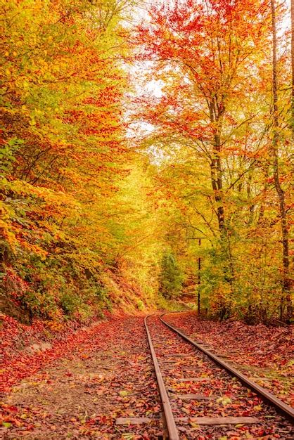 Premium Photo Colorful Autumn Leaves Falling Down On Railway Tracks