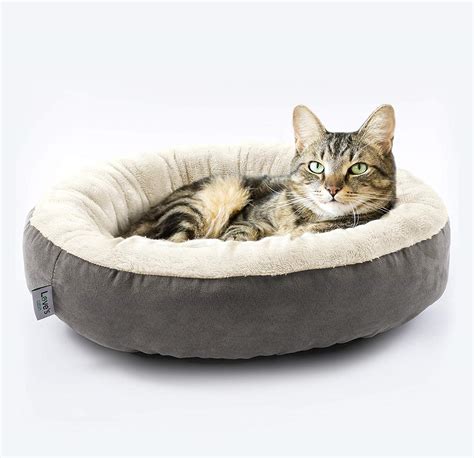 Designer Cat Beds Uk Cat Meme Stock Pictures And Photos