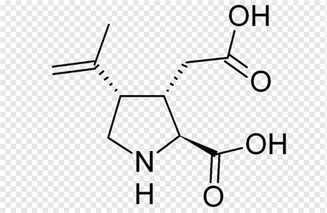 1 Pentanol ácido 2 Pentanol ácido Grupo Pentilo Alcohol Amílico