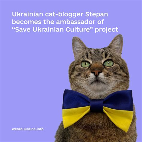 Ukrainian Cat Blogger Stepan Becomes The Ambassador Of “save Ukrainian Culture” Project We Are