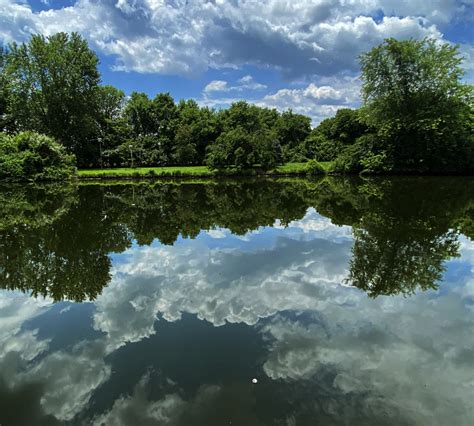 Photograph Of Clouds And Trees Reflected In A Pond Us Geological