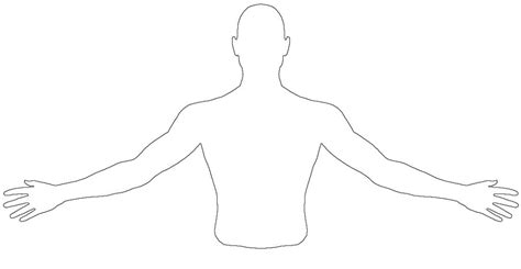 Human Torso Drawing At Getdrawings Free Download