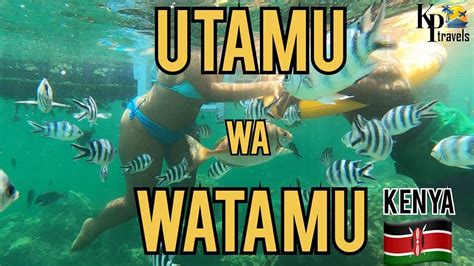 Utamu Wa Watamu Is Watamu The Best Beach In Kenya Youtube