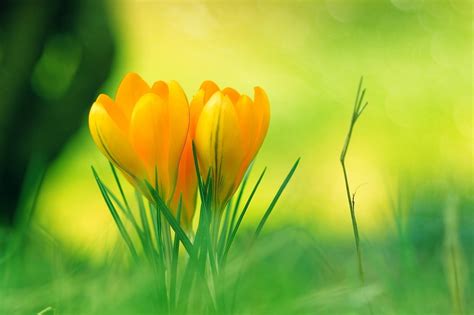 Best full hd 1920x1080 wallpapers of nature. Cool Nature Background Images | PixelsTalk.Net